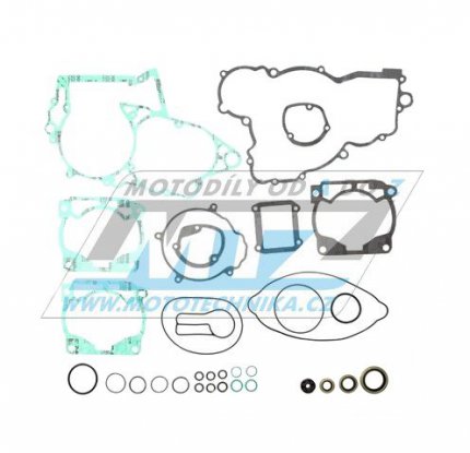 Tsnn kompletn motor (vetn gufer motoru) KTM 300EXC / 04