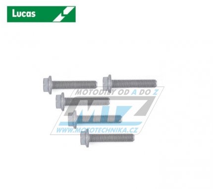 rouby brzdovho kotoue M8x30 (sada 5ks) - Aprilia Leonardo+Scarabeo+Sportcity+Atlantic + Derbi Rambla125+250+300 + Cagiva