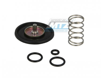 Sada akceleran pumpiky karburtoru (Accelerator Pump) - Honda GL1000LTD+ GL1000K+ GL1000Z + GL1000 Goldwing
