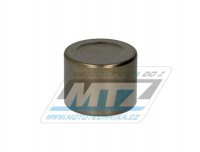 Pstek brzdovho tmenu (do brzdie) - Honda CB1000F SuperFour+CBR900RR Fireblade+RVF750R + VFR400+VTR1000F FireStorm